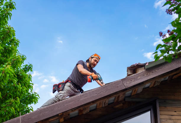Best Flat Roofing  in Wainaku, HI