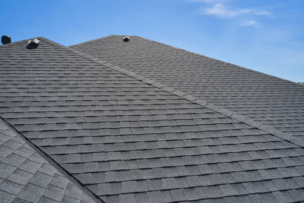 Best Steel Roofing  in Wainaku, HI